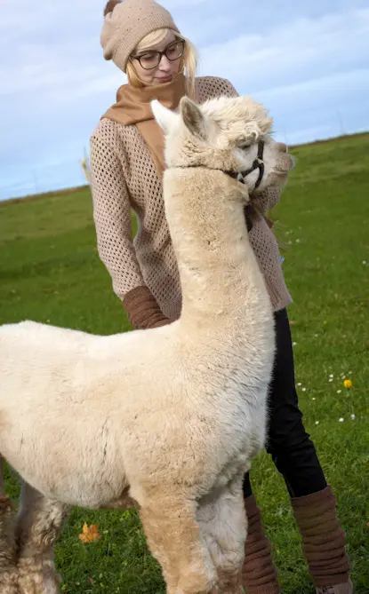 Damenjacke mit zarten Lochmuster camel hell